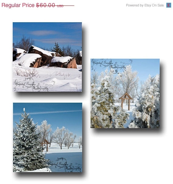 Winter Scenery Fine Art Photography Outdoor Home Decor Frost Hoarfrost Unique Gift for Him Gift for Her