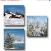 Winter Scenery Fine Art Photography Outdoor Home Decor Frost Hoarfrost Unique Gift for Him Gift for Her