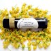 Faerie Balm - organic herbal lip balm and moisturizer in black recycled-plastic tube