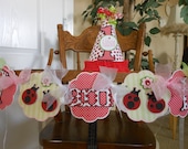 Lady Bug and Lime 1st Birthday Petite Party Package Il_170x135