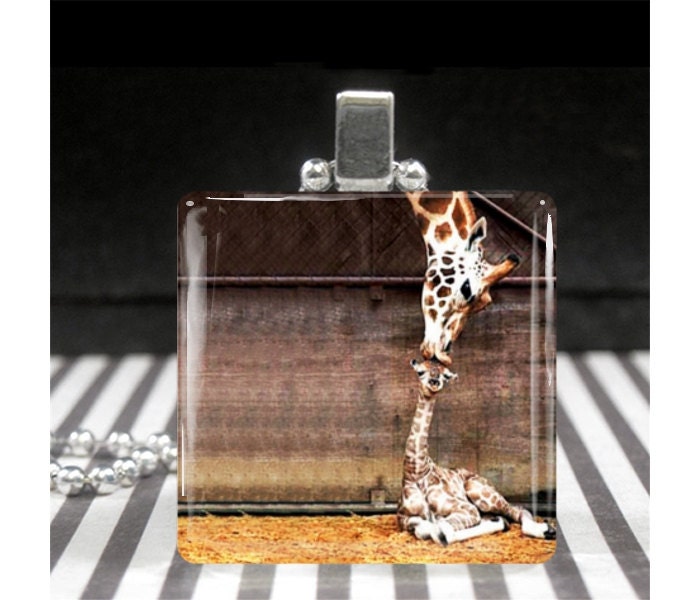 Glass Tile Pendant Giraffe Mother and Child Photo Necklace Silver Jewelry Gifts by Ever & Anon