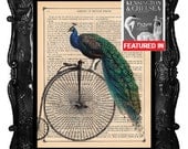 ANTIQUE Peacock - art print - vintage Peacock on penny farthing  bicycle bike illustration beautiful dictionary page book art Peacock print