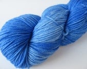 Blue Hyacinth DK 245yds Superwash Merino