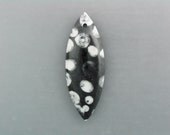 Crinoid Fossil Bead