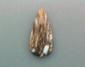 Petrified Palm Root Cabochon