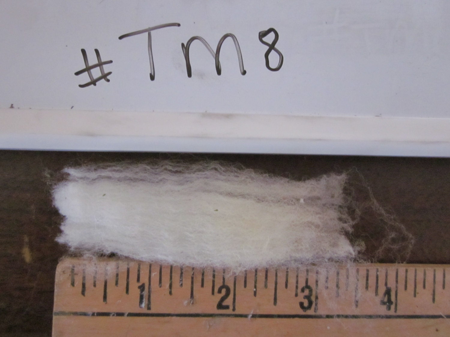 Targhee Merino Raw Unwashed Skirted Wool Fleece TM8