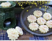 7 Dragons Blood Candle Tarts  Super Strong  oldhickorycandles