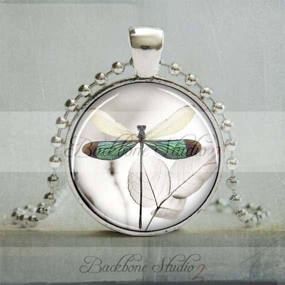 Dragonfly Pendant, Dragonfly Jewelry, Insect Bug Jewelry (1005) - backbonestudio2