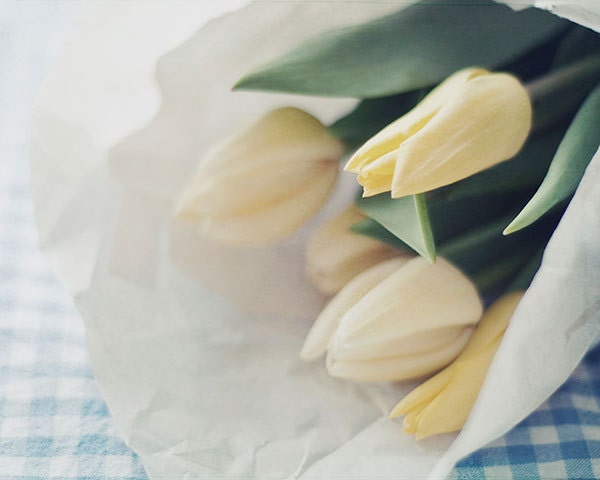 Spring tulips photograph -  8 x 10 fine art photography print - spring blue fresh yellow tulips romantic still life photo home decor - photographybykarina