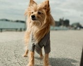 The Crew Dog Blazer