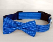 Blue Dot Dog Bow Tie Collar