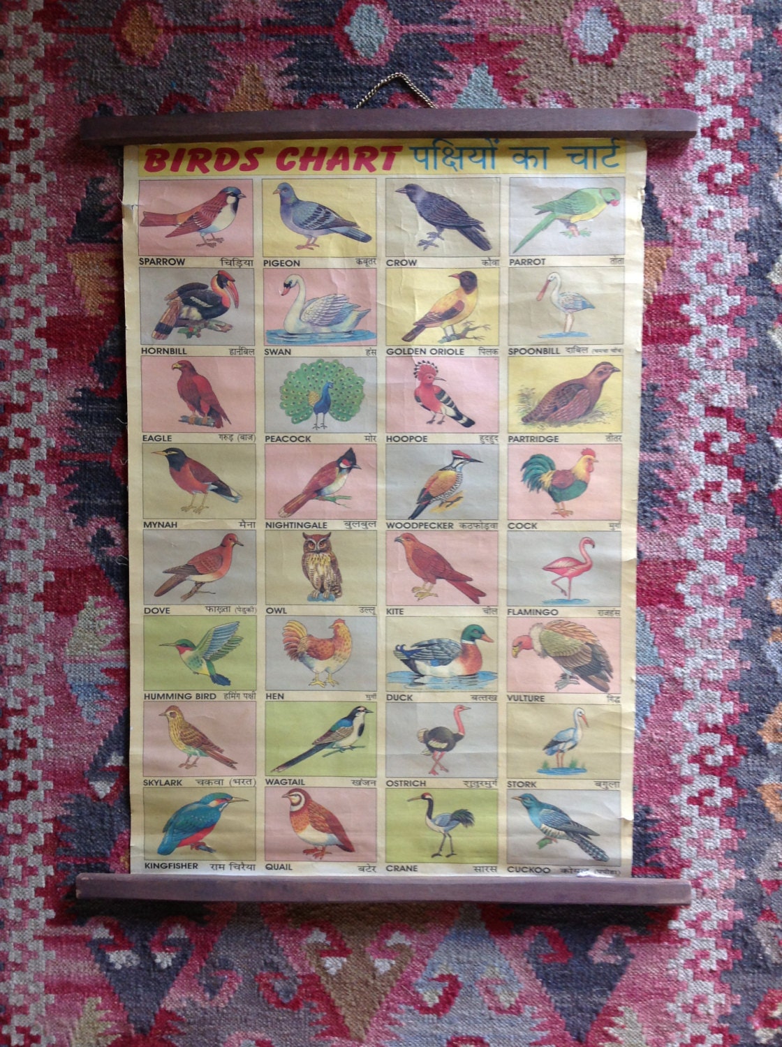 Amazing Middle Eastern Hanging Bird Chart