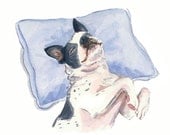 Boston Terrier Watercolour PRINT - Dog Painting, Dog Illustration, 11x14 print