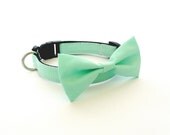 Bowtie Collar -Mint-