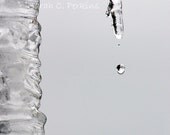 Close Up Macro 8x10 B&W Photography Pure Nature Cold Winter Ice Water In Motion Frozen drips icicle ripples Free US Shipping