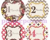 SALE Monthly Onesie Stickers Baby Girl Milestone Sticker Brown Grey Pink Floral Baby Month Stickers TOP Seller Monthly Baby Sticker