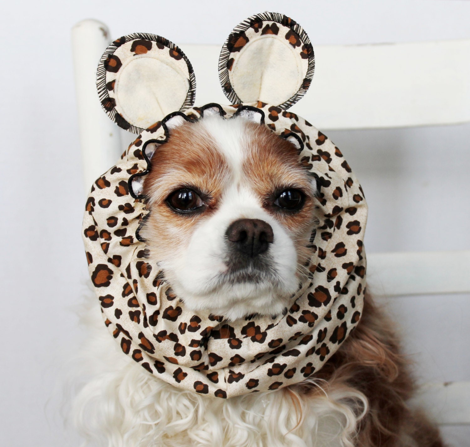 Leopard Ears Dog Snood / Pet Hat / Long ear covering / Limited edition
