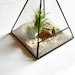 Terrarium, Glass Pyramid Planter with Air Plant, DIY, Desk Accessory