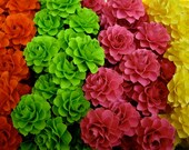 The Rosetta Paper Flowers - Custom Colors - Pack of 40 - Made To Order