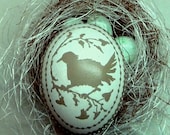 Hand Carved & Etched Victorian Lace Olive Green Chicken Egg - Bird Design