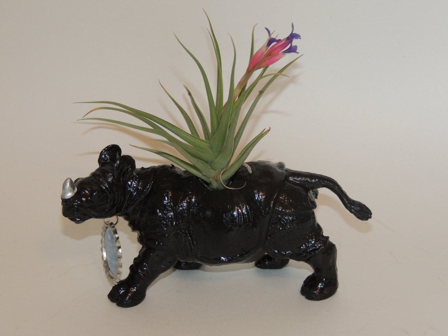 Ricky the Rhino planter with air plant and custom bottle cap.