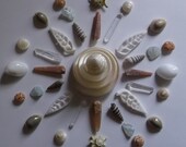 Lemurian Ocean Magic Crystal and Seashell Mandala/Grid: Amphibole Papaya Lazers, Lemurian Starseed Crystals, Aquamarine and Seashells