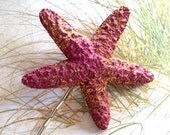 On Sale - Shimmery Magenta Sugar Starfish Bobby Pin Beach Bride Mermaid Beach Girl Wedding Accessory Starfish Hair Pins Starfish