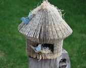 Book Birdhouse