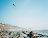 Coastal Landscape Photograph, Carpenteria California, Blue, Rocky Shoreline, Ocean, Sea, Summer, Sky, Bird, Beaach Photography, 8x10