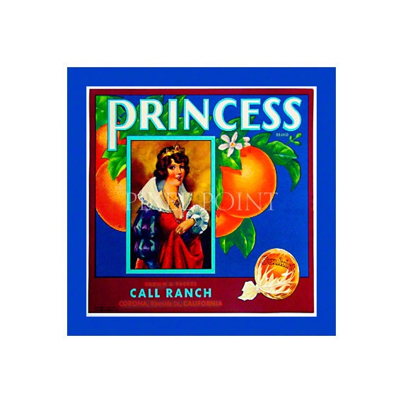 Small Journal - Princess Brand Oranges - Fruit Crate Art Print Cover