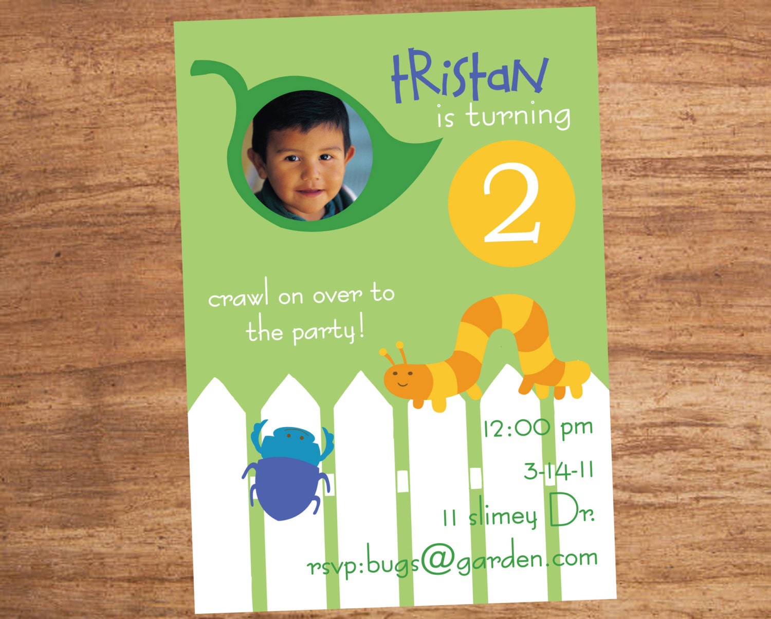 Bugs and Insects Custom Photo Birthday Party Printable Invitation