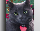 Grey Domestic Shorthair Cat - 5x7 Giclee print on canvas
