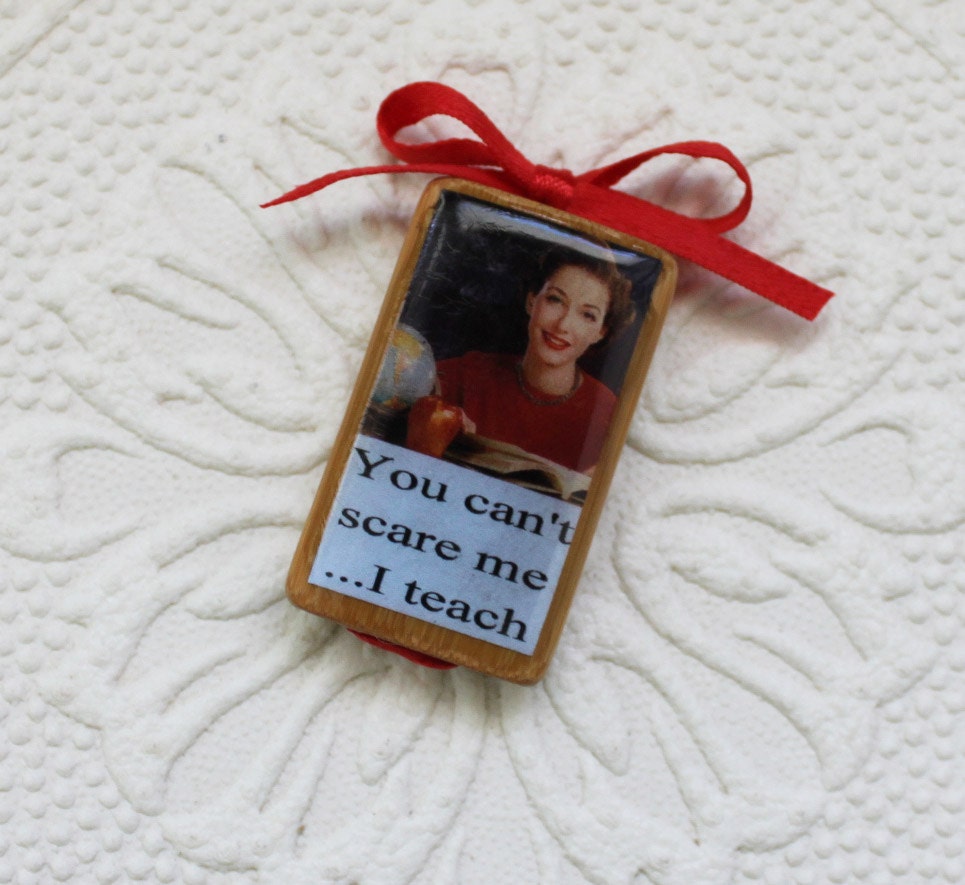 Teacher Lapel Pin With Sassy Saying