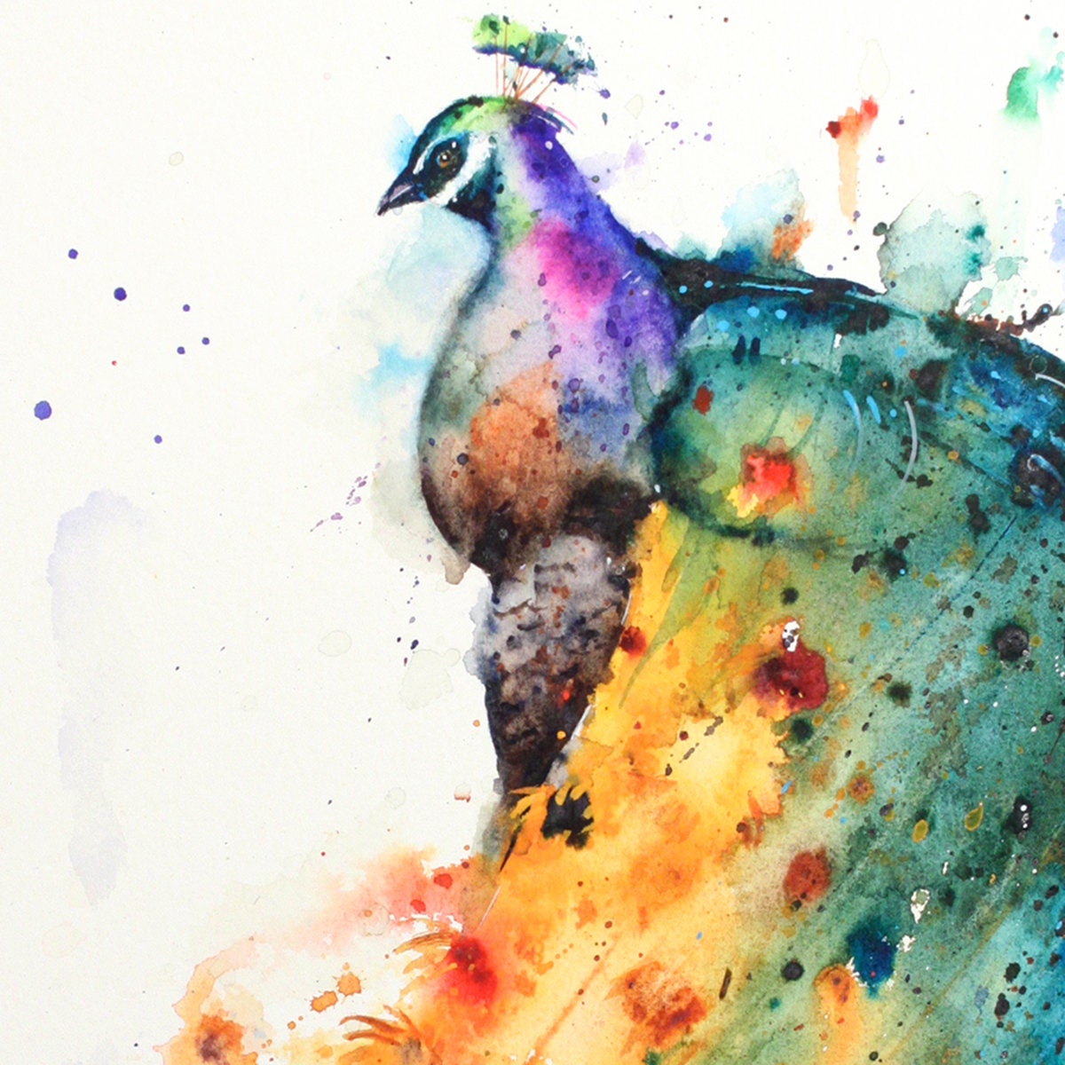 SUNFLOWER PEACOCK Watercolor Print by Dean Crouser