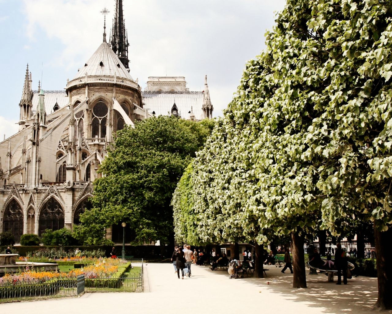Paris Photography - Notre Dame Photograph - French Home Decor - Green Trees - Urban Landscape - Parisian Wall Art - Cathedral