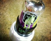 The Dragon House A Steampunk Terrarium