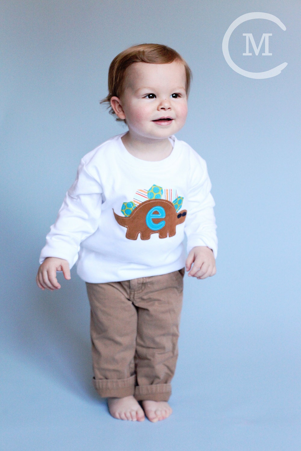 Dinosaur Shirt Stegosaurus Applique- You Choose Shirt Color and Sleeve Length