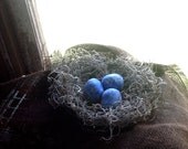 Natural looking birds nest - Spanish Moss w/ Blue Eggs - 6 Inch Nest
