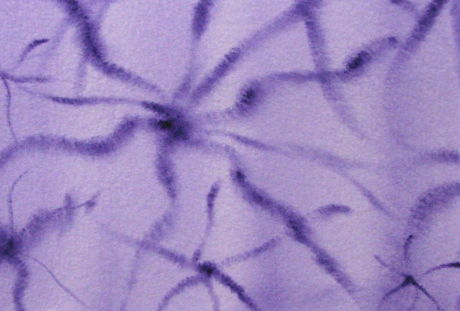 Purple Neuron Field 2 - original watercolor painting of brain cells