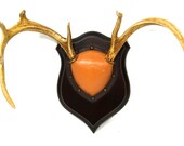 Deer Antlers with Leather
