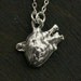 Human Heart Necklace - Silver Anatomical Heart Pendant