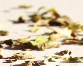 ORGANIC mint loose leaf herbal tea - - 2oz