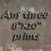 Choose any THREE 8x10 Fine Art Photography Prints, Nature Photography, Landscape Photograph, Macro Photography , Flower,