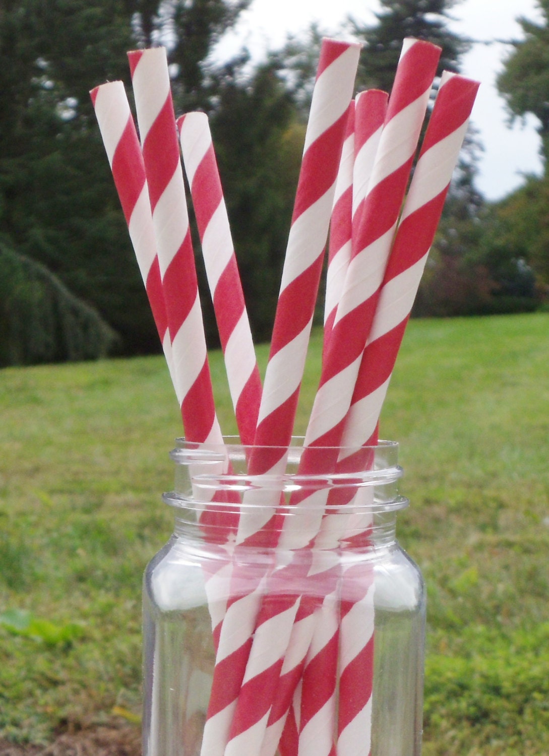 Paper Straws (24)  Dark Red and White Stripe.   Crafting, Parties, Gifting