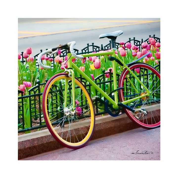 It's a Beautiful Day - Chicago - Fine art travel photography - Urban art, bike art, 8x10 or 8x8 - green, pink, red, yellow