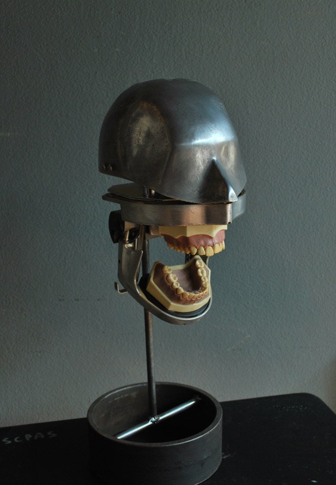 Aluminum Dental Head and Gum and Teeth Model, Medical phantom, Dental Manikin