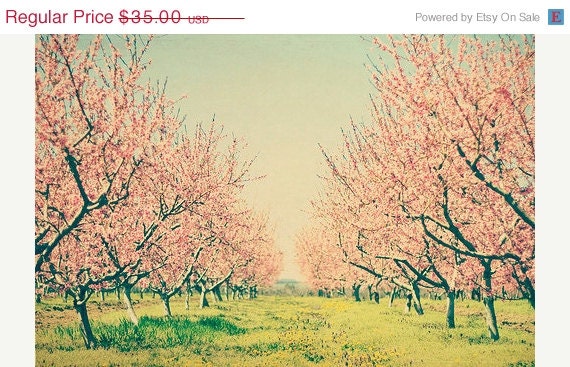 SALE 30% OFF Nature photography Cherry blossom orchard: Vintage spring 8x12 Fine Art Photography Whimsical wall art botanical art prints