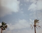 Palm trees - 35mm film photography - 4x6 inch (10x15cm) Fine Art Print - Summer