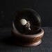 Glass Display Globe with Rustic Wooden Base