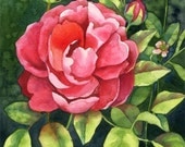 Garden Beauty - Original Watercolor Rose Painting